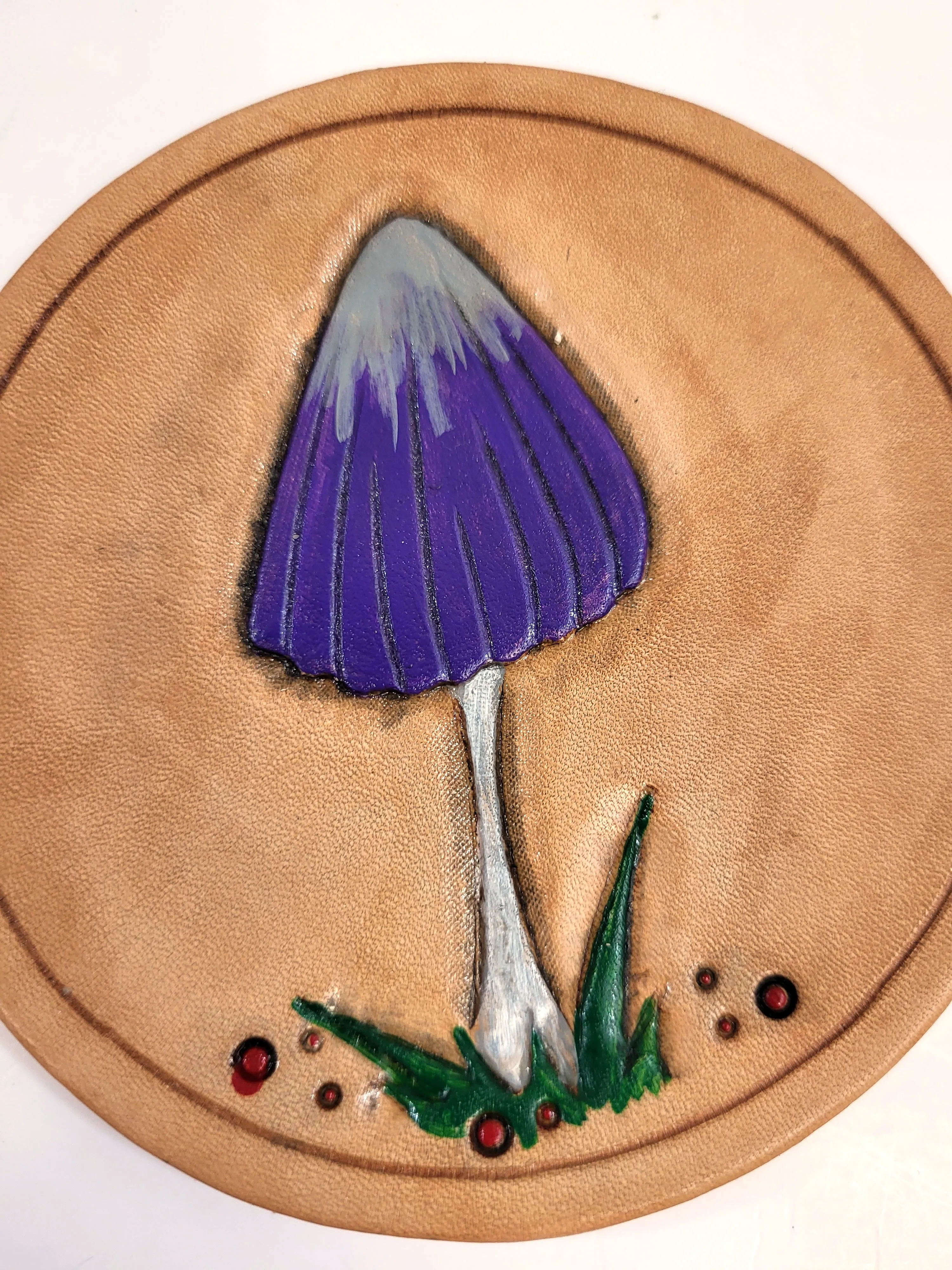 Assorted Mushroom Leather Art Rounds
