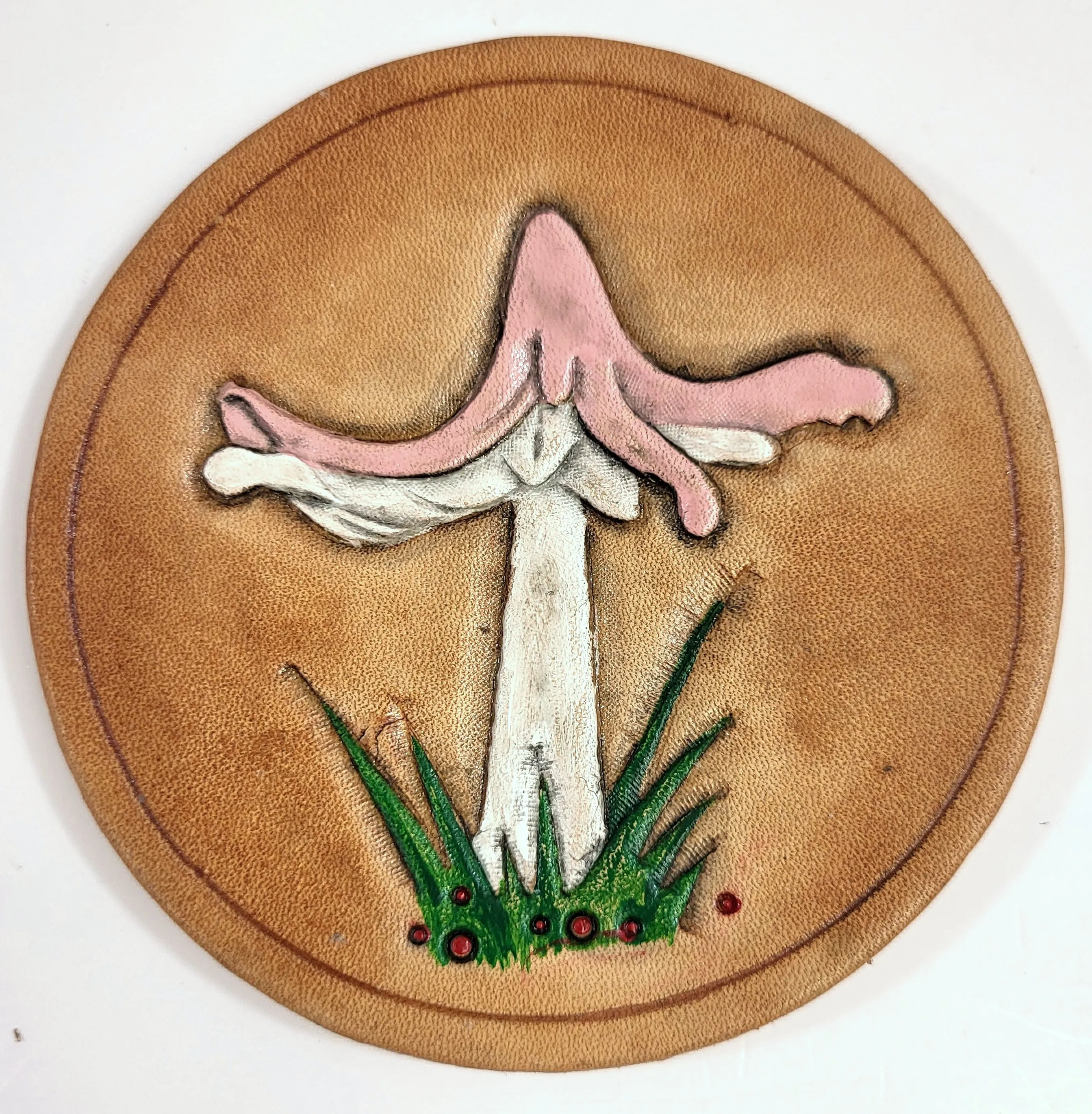 Assorted Mushroom Leather Art Rounds