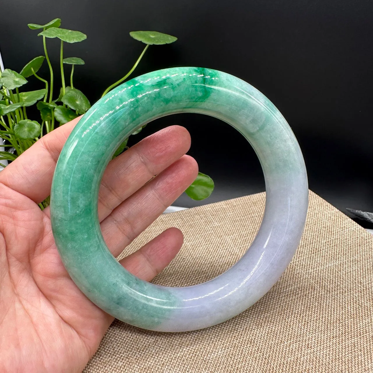 Genuine Burmese High-end Jade Large Jadeite Bangle Bracelet ( 80.3mm )( Collectibles )