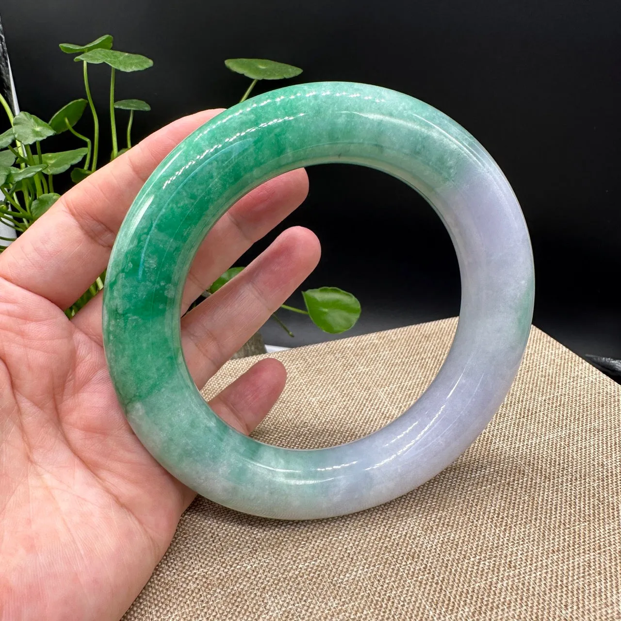 Genuine Burmese High-end Jade Large Jadeite Bangle Bracelet ( 80.3mm )( Collectibles )