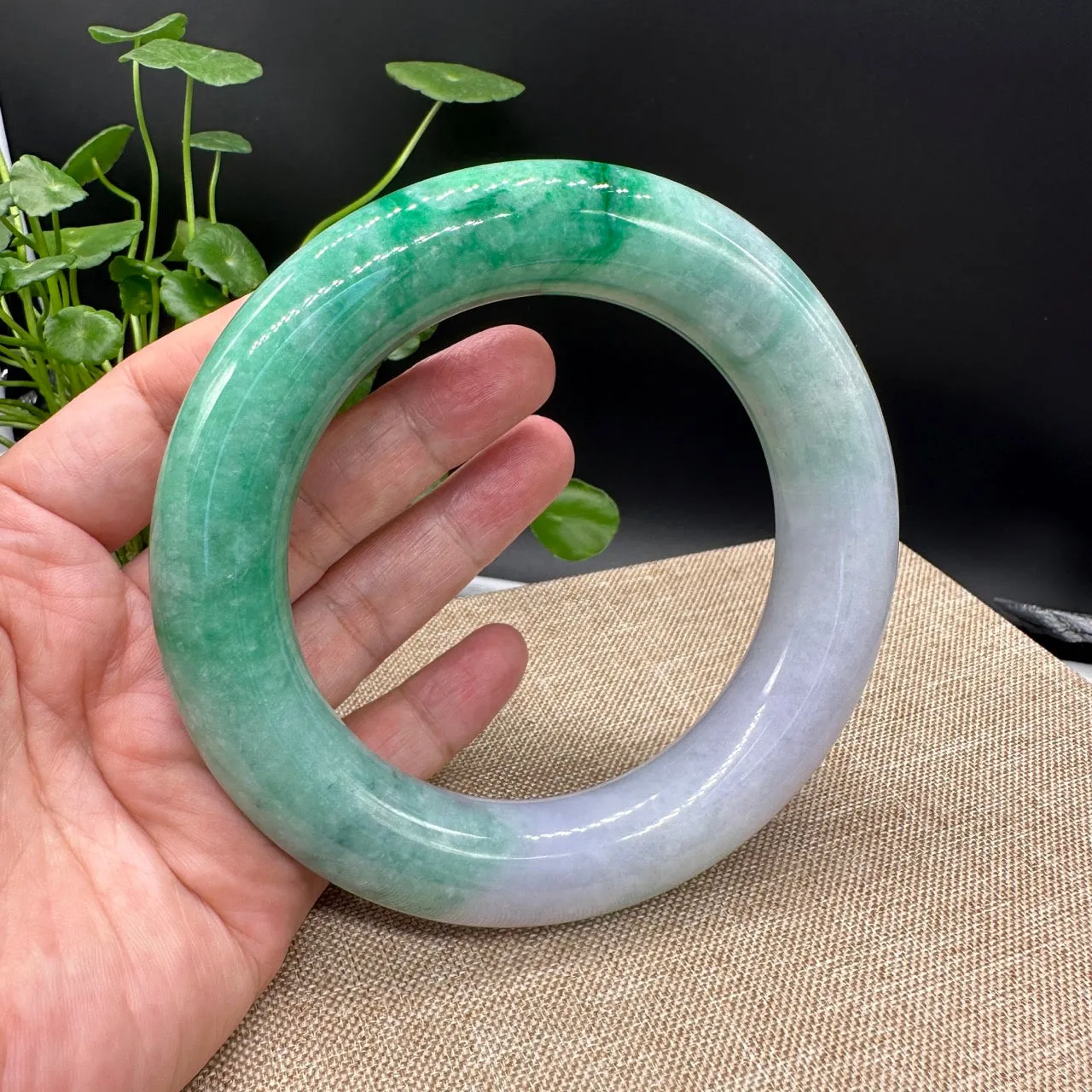 Genuine Burmese High-end Jade Large Jadeite Bangle Bracelet ( 80.3mm )( Collectibles )
