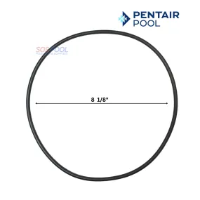Pentair Seal Plate O-Ring For SuperMax and SuperFlo Pumps | 355619