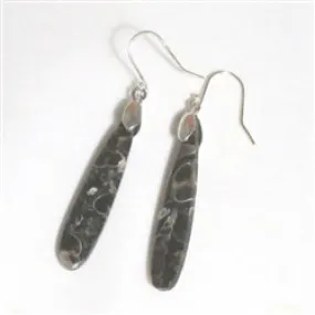 Turritella Fossil Gemstone Earrings