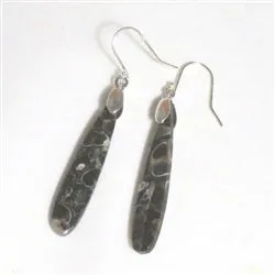 Turritella Fossil Gemstone Earrings